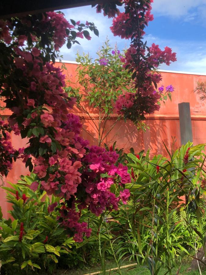 Janela De Marcia Bed & Breakfast Florianopolis